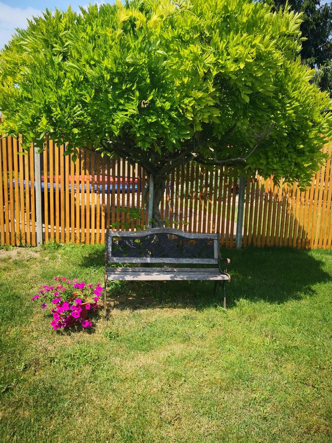 Apartman Lipa Mikulov Exterior photo